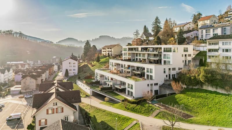 Premium-Gartenwohnung mit riesiger Aussenfläche und Weitsicht (2)