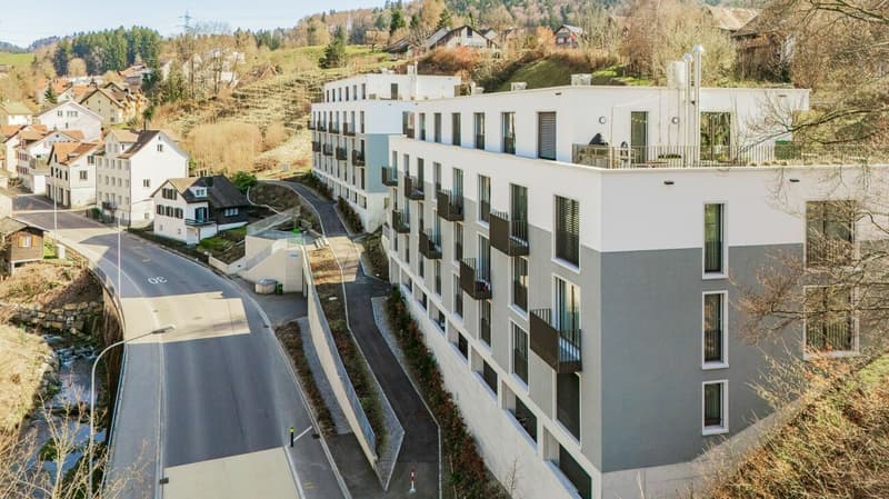 Das Beste aus Stadt und Natur - Stilvolles 5.5-Zimmer-Townhouse mit Dachterrasse (3)