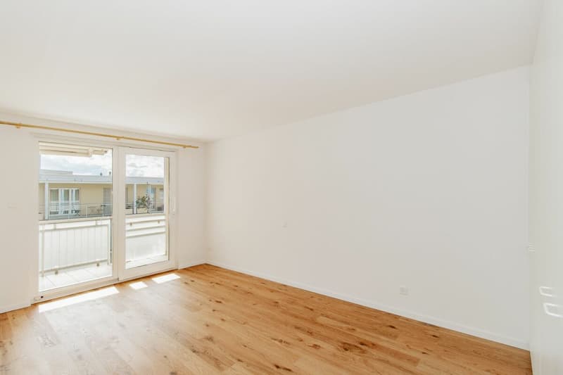 5.5-Zimmer Attikawohnung mit Weitsicht bis zum Bodensee (7)