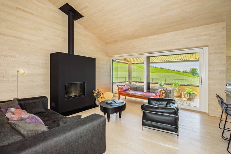 Ein Logenplatz über dem Bodensee - Premium Dach-Maisonette im hochwertigen Vollholzbau (4)