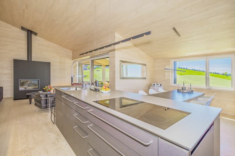 Ein Logenplatz über dem Bodensee - Premium Dach-Maisonette im hochwertigen Vollholzbau (5)