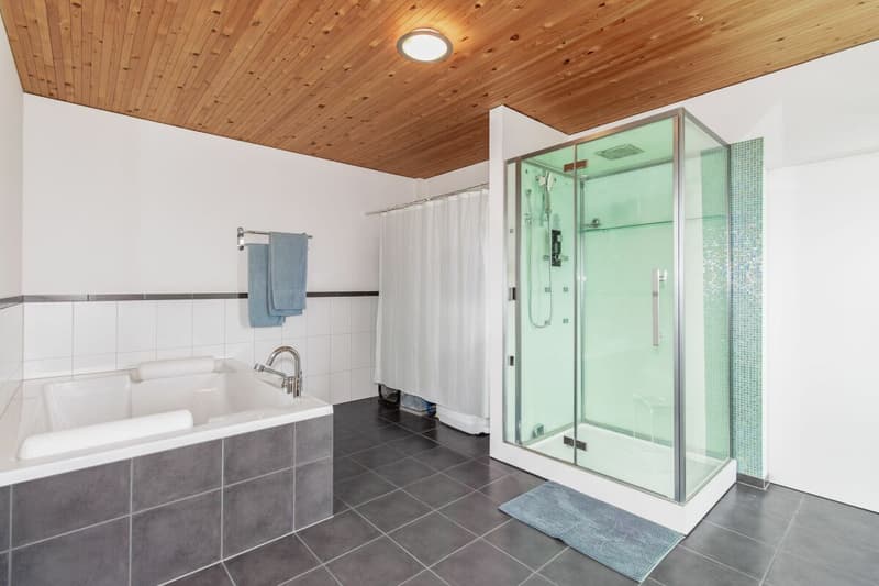 Charaktervolles 4.5-Zimmer-Architektenhaus - Moderne Holzarchitektur mit unverbaubarer Weitsicht (13)