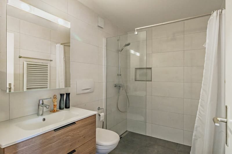 Modernisierte 2.5-Zimmer-Wohnung mit Balkon & Einzelgarage (6)