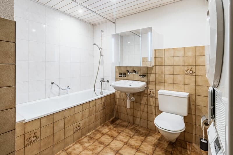 Helle 3.5-Zimmer-Dachwohnung mit offenem Wohnbereich (8)