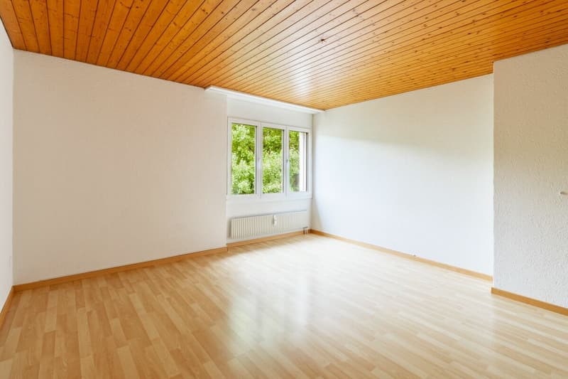 Helle 3.5-Zimmer-Dachwohnung mit offenem Wohnbereich (6)