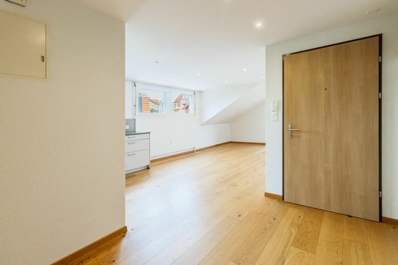 Helle 3.5-Zimmer-Dachwohnung mit offenem Wohnbereich (4)