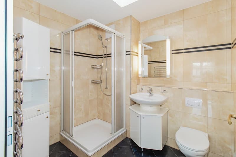 5.5-Zimmer Attikawohnung mit Weitsicht bis zum Bodensee (10)