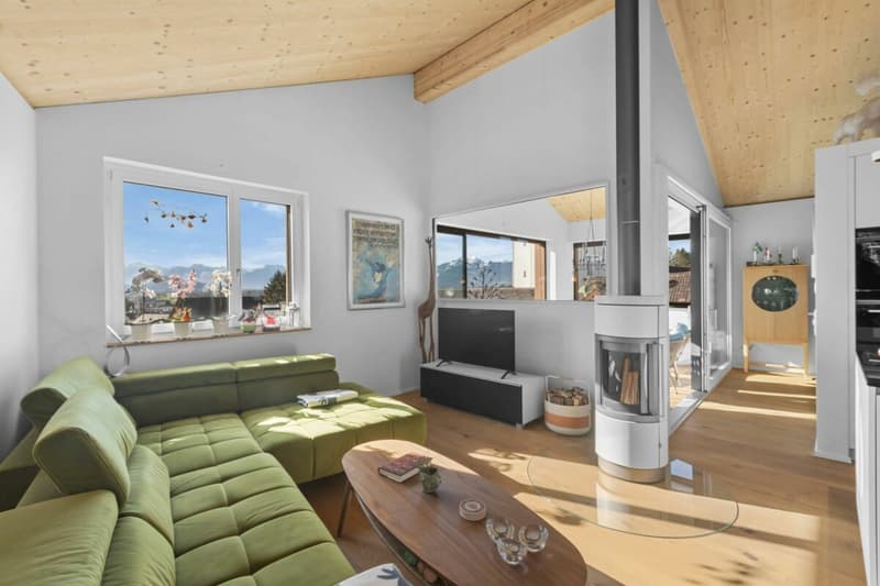 Modernes Einfamilienhaus mit Alpenpanorama (4)