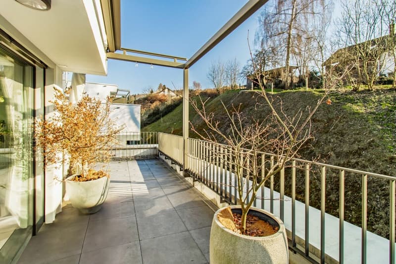 Zwischen Stadt und Natur - Stilvolles 5.5-Zimmer-Townhouse mit Dachterrasse (10)