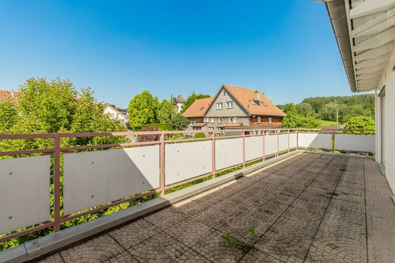 Attika-Oase mit Säntisblick - Weitsicht, Wohnkomfort und Ruhe (10)