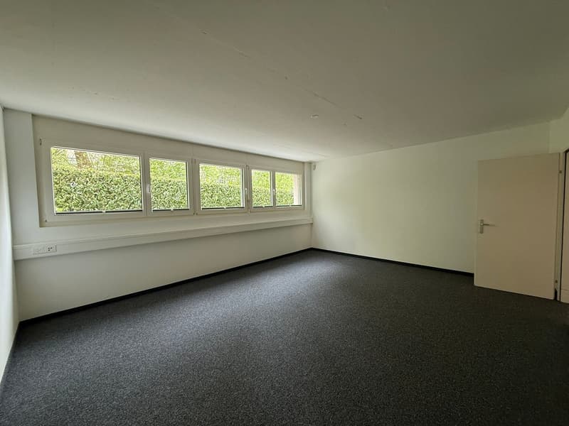 Spazio commerciale flessibile (circa 300 m²) con parte ufficio e magazzino a Wollerau (8)