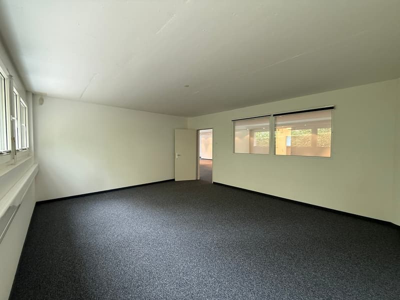 Spazio commerciale flessibile (circa 300 m²) con parte ufficio e magazzino a Wollerau (7)