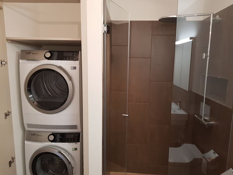 moderne 3.5-Zimmerwohnung im Bächlipark Wollerau (5)