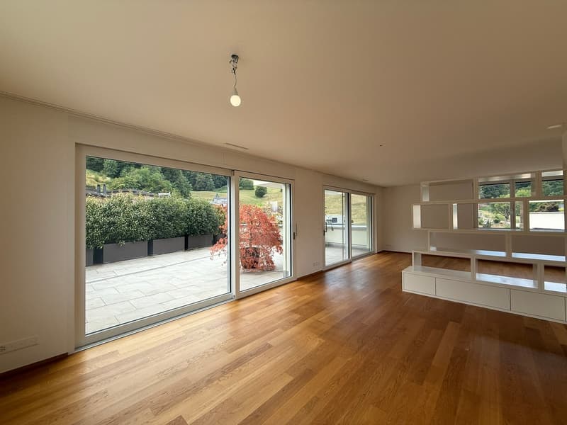 moderne 4.5-Zimmer-Attikawohnung im Bächlipark Wollerau (3)