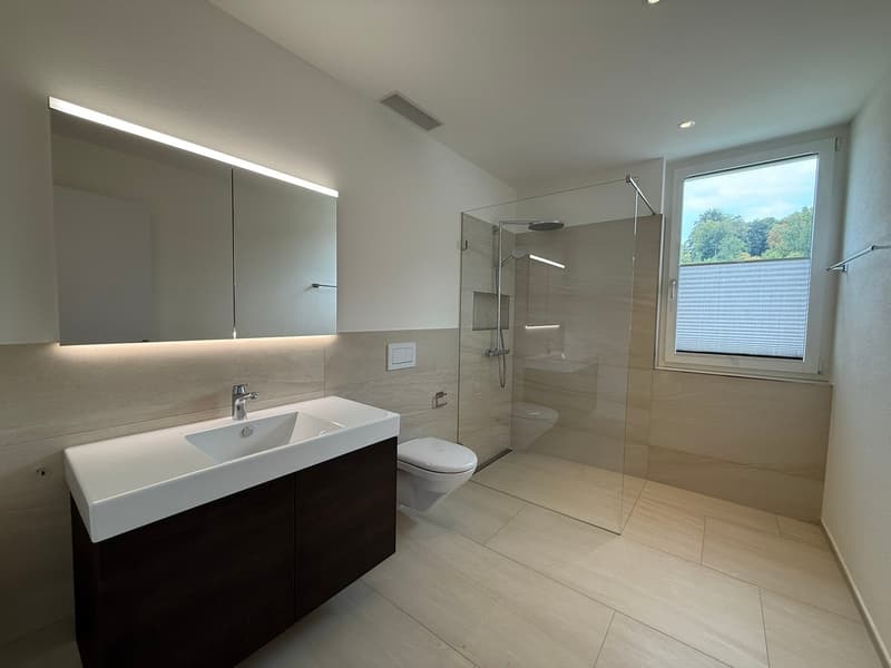 moderne 4.5-Zimmer-Attikawohnung im Bächlipark Wollerau (6)