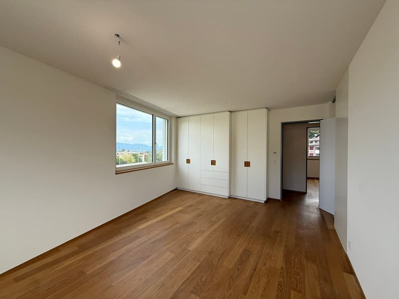 moderne 4.5-Zimmer-Attikawohnung im Bächlipark Wollerau (10)