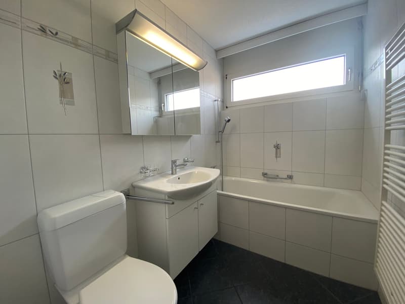 gemütliche 4.5 - Zimmerwohnung an zentraler Lage im steuergünstigen Freienbach (7)