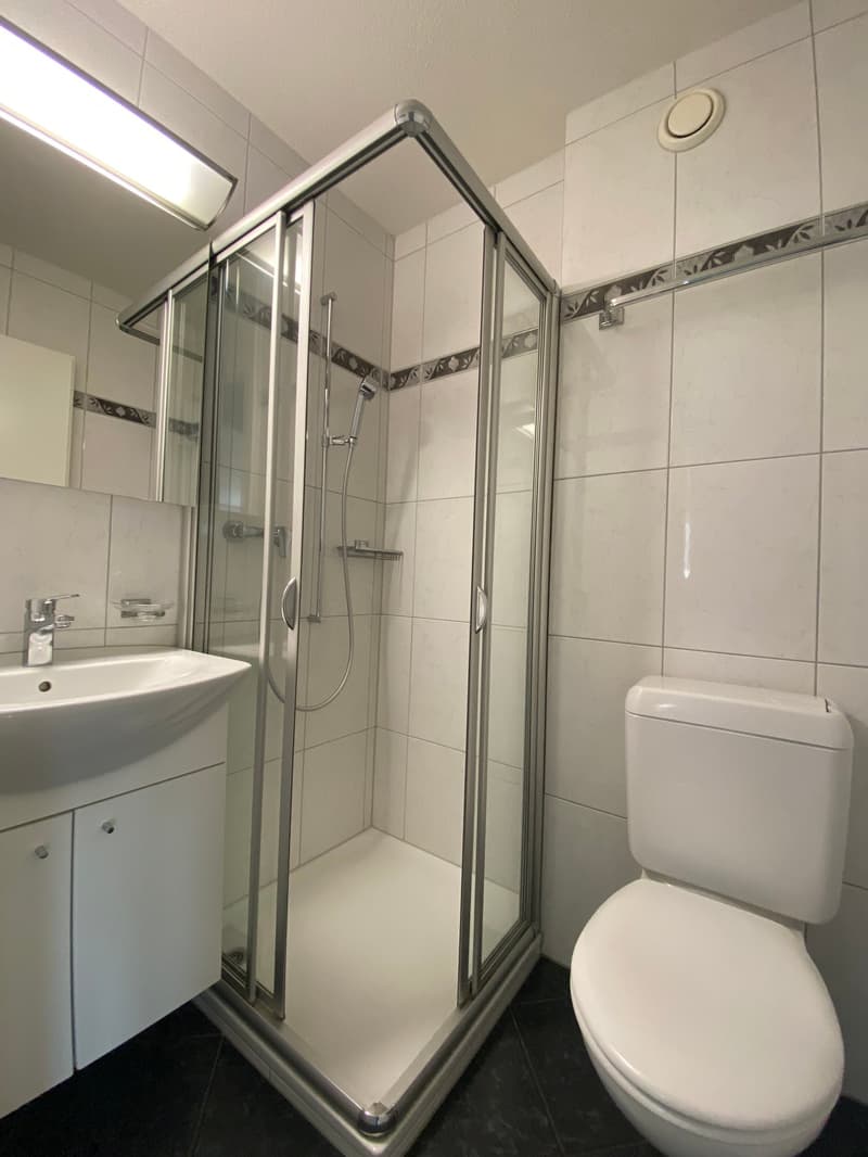 gemütliche 4.5 - Zimmerwohnung an zentraler Lage im steuergünstigen Freienbach (8)