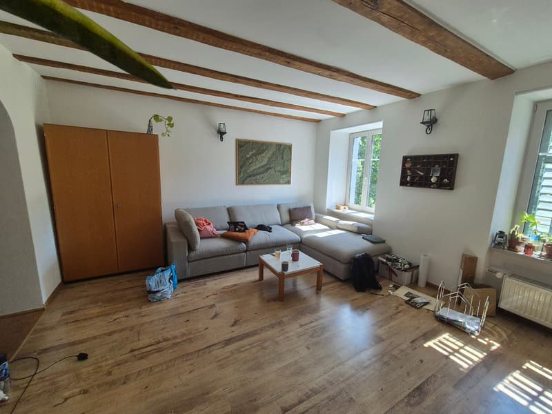 Charmante Dachwohnung auf zwei Etagen – zentral in Glarus (5)