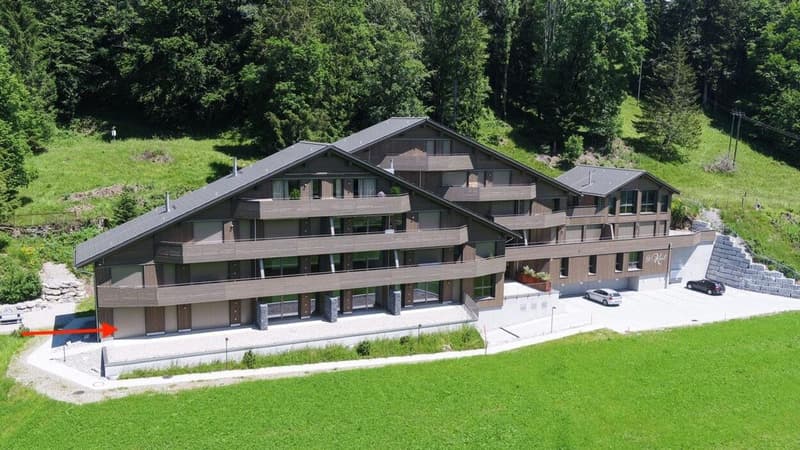 Moderne 2.5-Zimmer-Wohnung mit Panoramasicht in Illgau (St. Karl) (2)