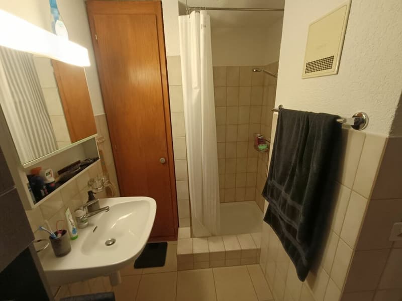 2.5 Zimmer-Parterre-Wohnung (6)
