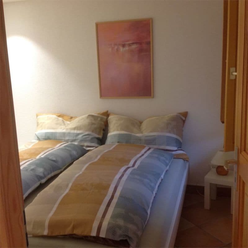 3 1/2 Zi.-Rustico renoviert (9)