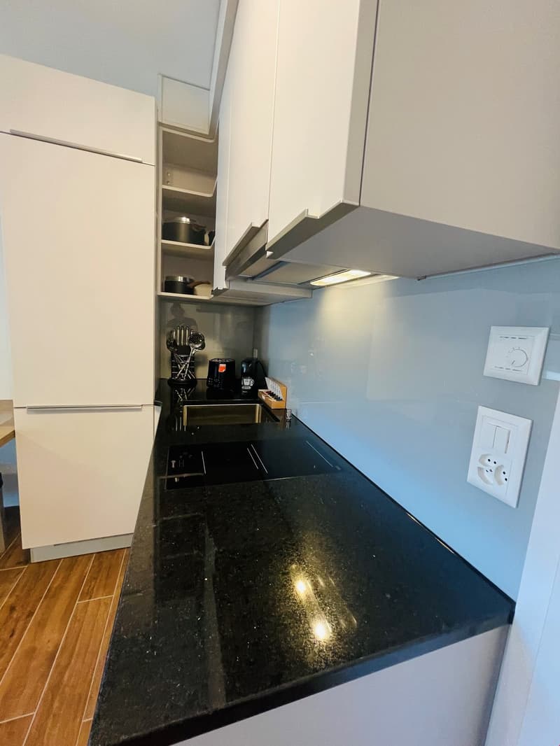 The image shows a kitchen with white cabinets, a black granite countertop, and a dishwasher visible on the counter.