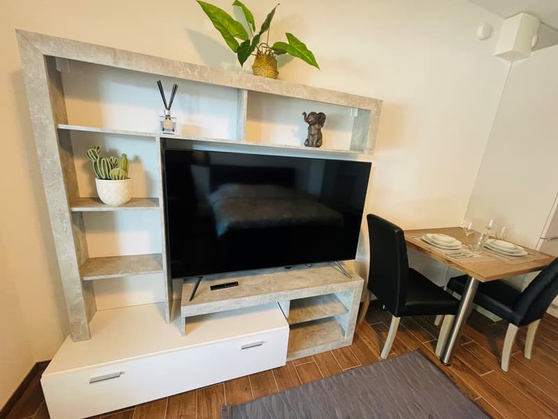 Living room: large flat screen TV, modern media console, decorative items, dining table, chairs, carpet, shelves, plants