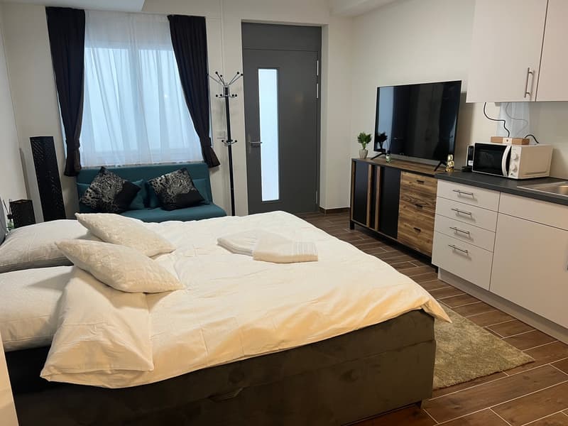 Furnished Apartment with Pool and Fitness (3)