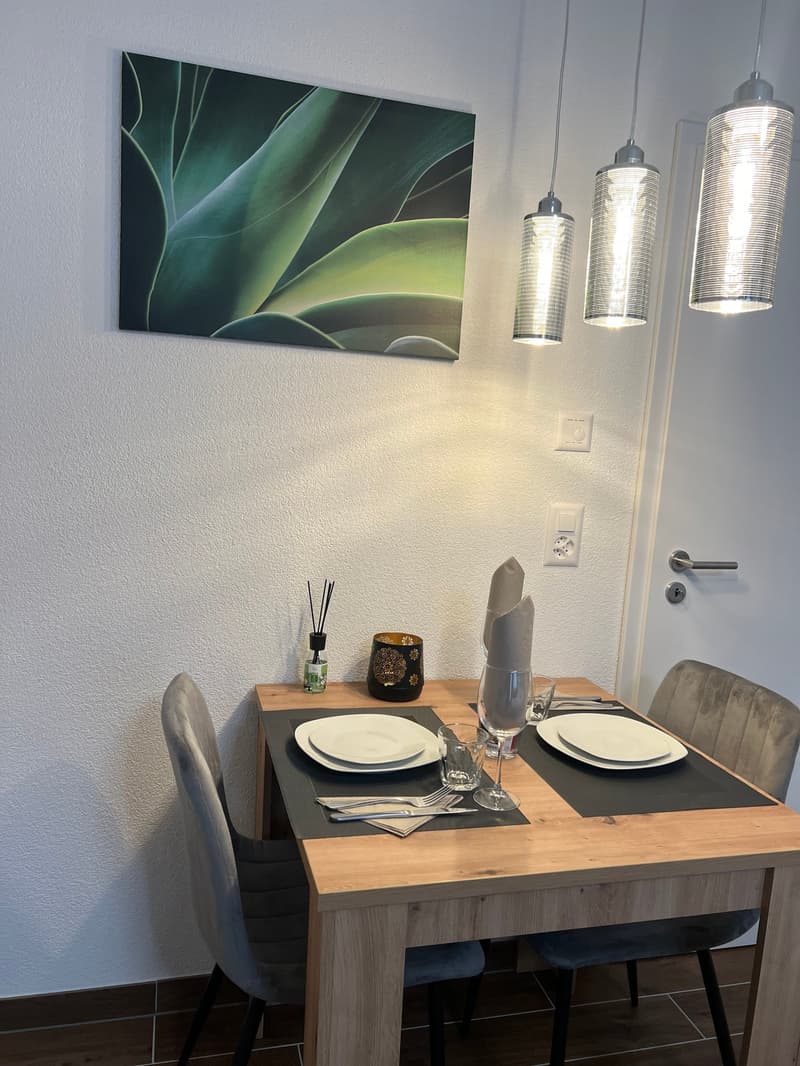 Furnished Apartment with Pool and Fitness (6)