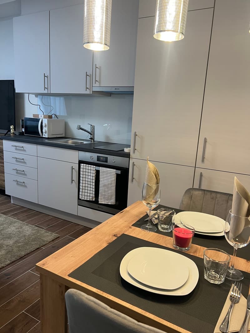 Furnished Apartment with Pool and Fitness (2)