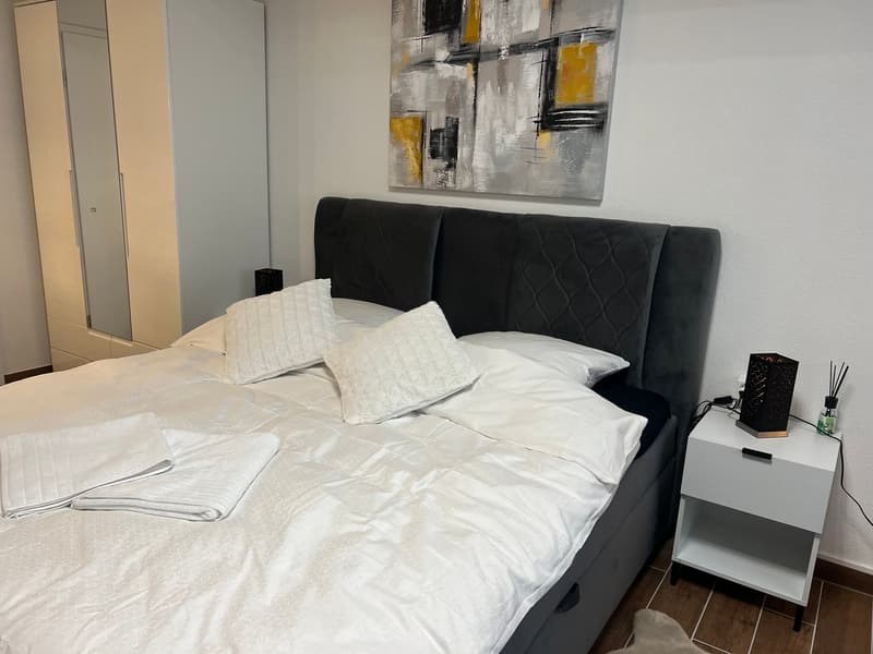 Furnished Apartment with Pool and Fitness (8)