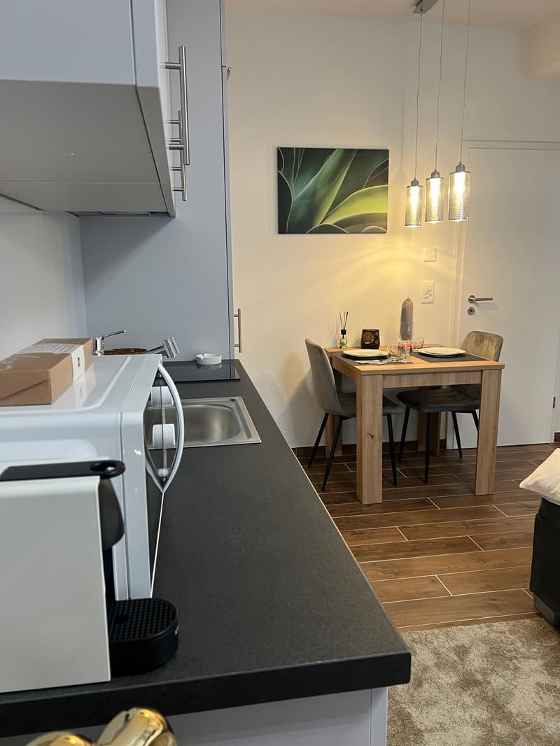 Furnished Apartment with Pool and Fitness (9)