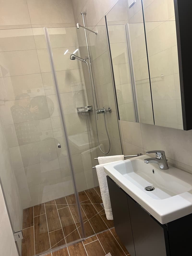 Furnished Apartment with Pool and Fitness (12)