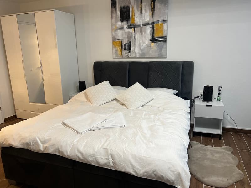 Furnished Apartment with Pool and Fitness (5)