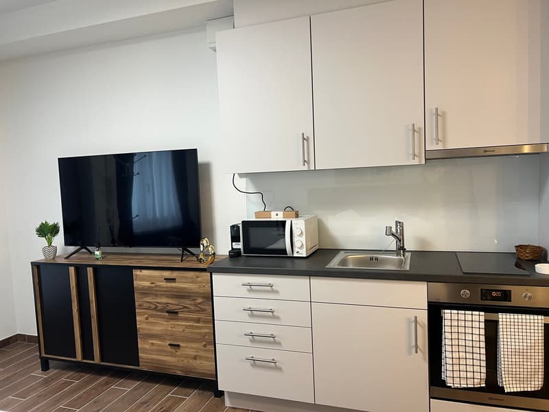 Furnished Apartment with Pool and Fitness (4)