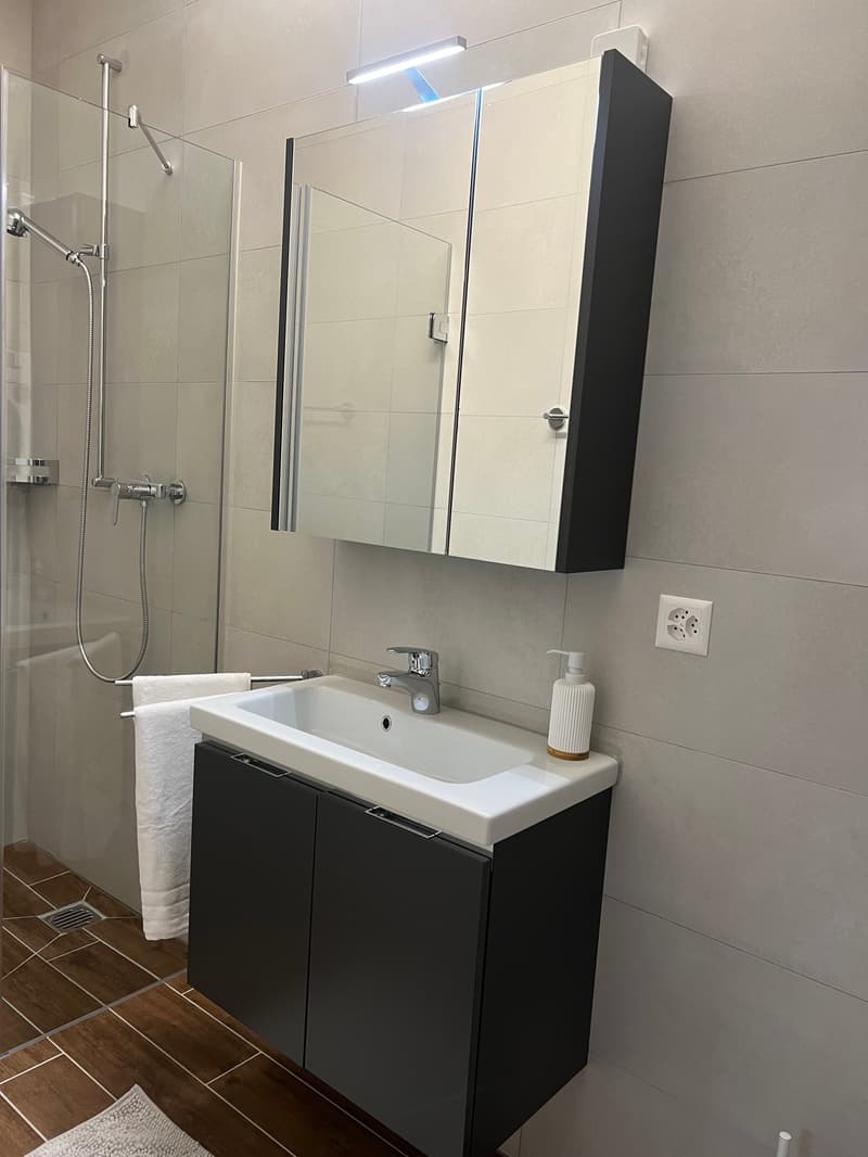 Furnished Apartment with Pool and Fitness (11)
