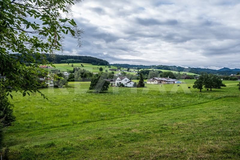 Exklusives Renditeobjekt: Einfamilienhaus in Sirnach (4)