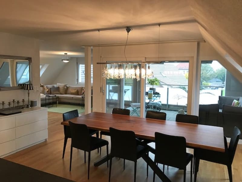 Moderne Dachwohnung im Grünen ! (4)