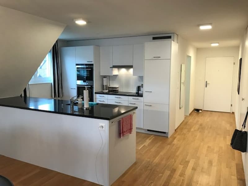 Moderne Dachwohnung im Grünen ! (5)