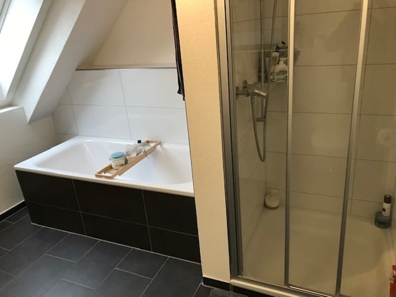 Moderne Dachwohnung im Grünen ! (10)