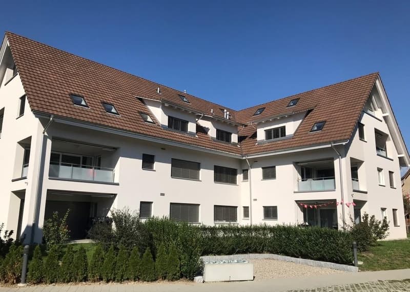 Moderne Dachwohnung im Grünen ! (12)