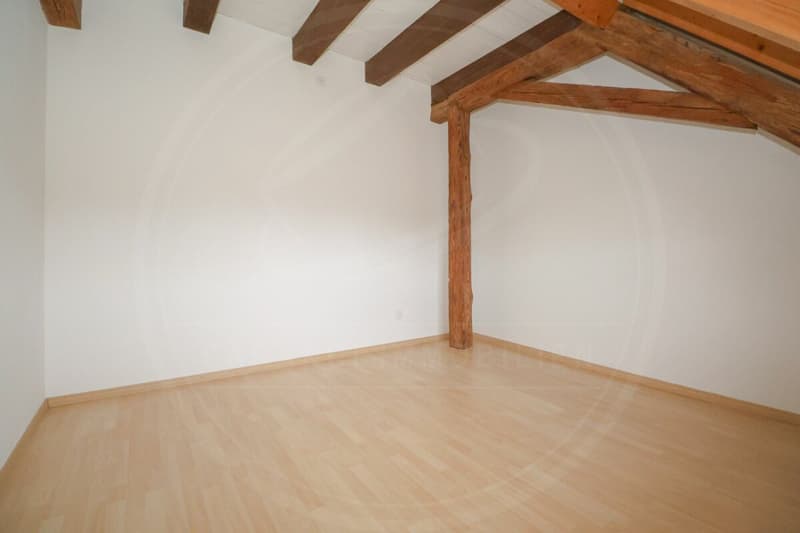 Renovated 5½ room maisonette apartment in the historic "Schlössli" of Koblenz for sale (14)