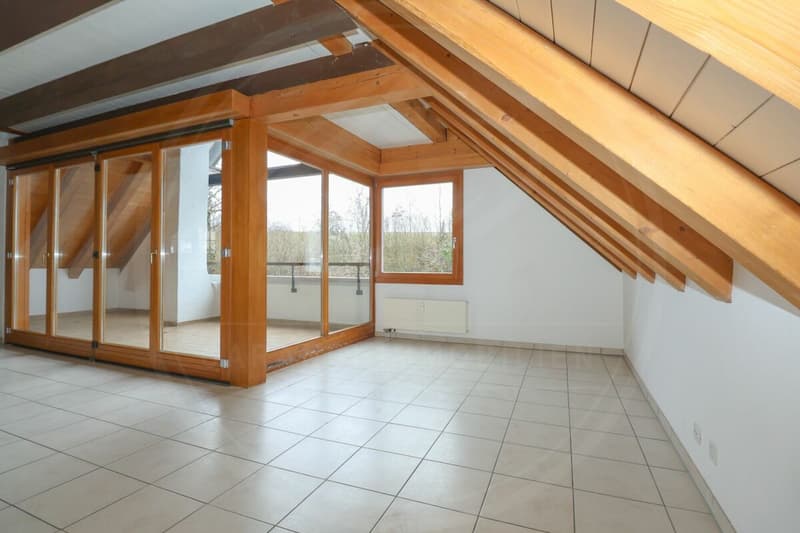Renovated 5½ room maisonette apartment in the historic "Schlössli" of Koblenz for sale (11)