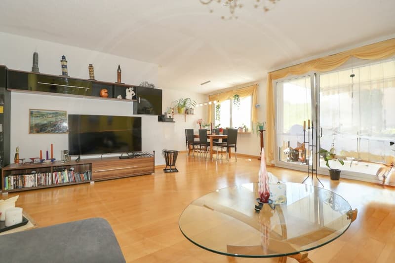 RESERVIERT: Zwischen Stadt & Natur: 5½-Zimmer-Wohnung nahe Baden & Zürich (8)