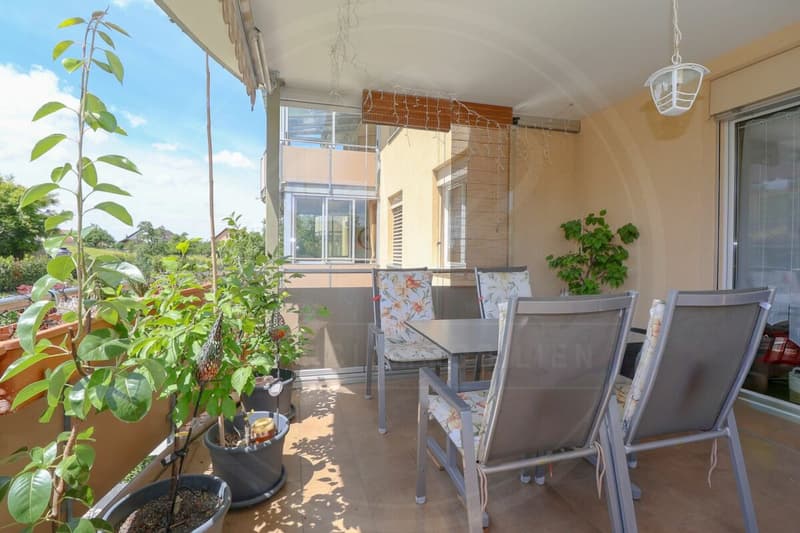 RESERVIERT: Zwischen Stadt & Natur: 5½-Zimmer-Wohnung nahe Baden & Zürich (9)