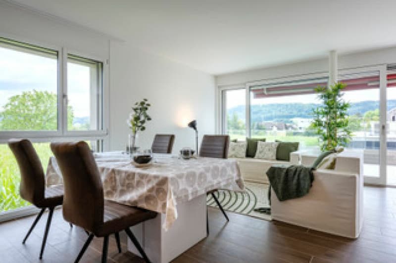 Moderne 2½-Zimmer-Wohnung ab sofort zu vermieten (5)