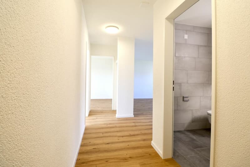 Frisch renovierte und helle Wohnung mit Balkon in Lupfig zu vermieten (8)