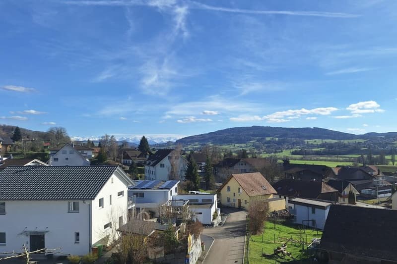 Freie Besichtigung: Erstbezug: Neue 4½-Zimmer-Terrassenwohnung zu verkaufen (6)