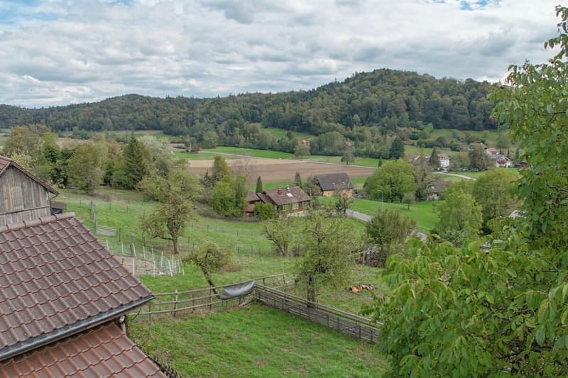 Zweifamilienhaus mit Stall und Landwirtschaftsland in Wettingen (13)